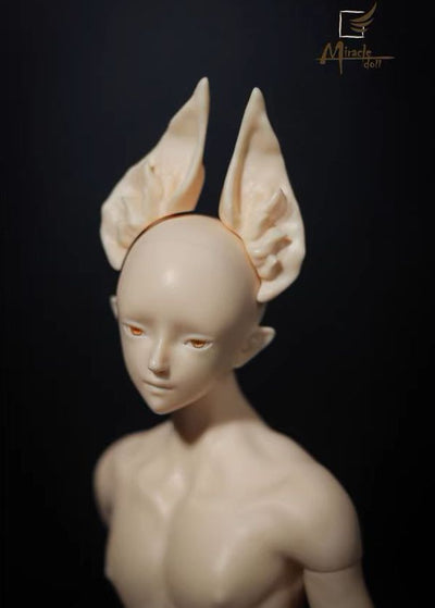 Zenyi Head [Limited time] | Preorder | PARTS