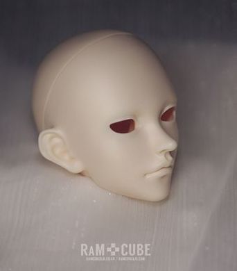 Roga : A type Head [Limited Time] | DOLL