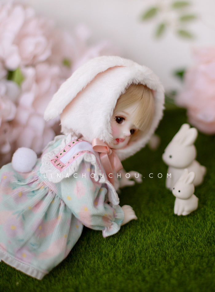 Moon Tokki [Limited time] | Preorder | DOLL