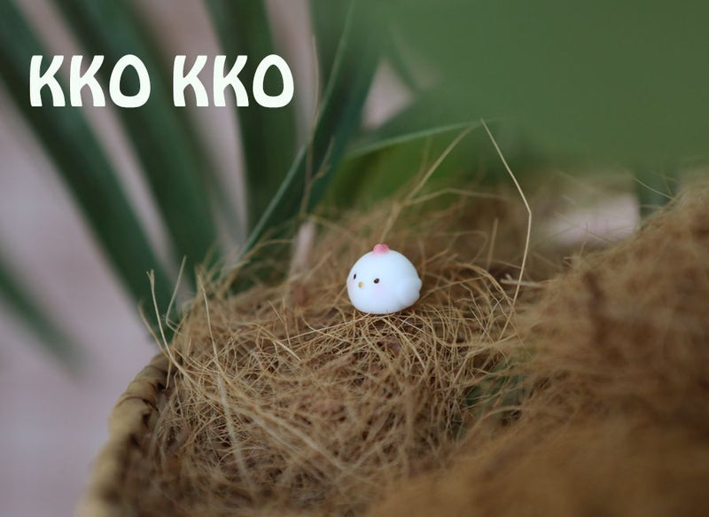 Kko Kko | Preorder | DOLL