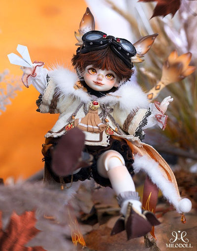 Aiden Fullset+Body Blush [Quantity & limited time 15% OFF] | Preorder | DOLL