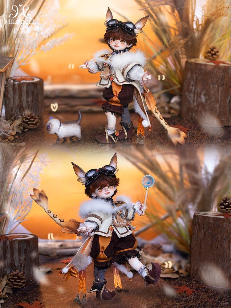 Aiden Fullset+Body Blush [Quantity & limited time 15% OFF] | Preorder | DOLL