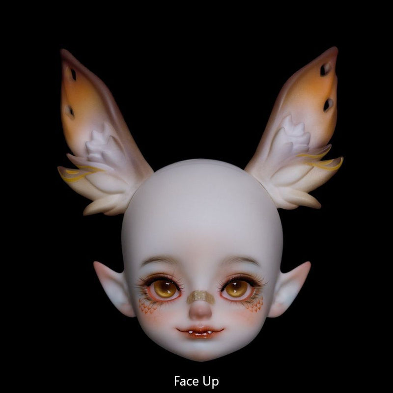 Aiden Fullset+Body Blush [Quantity & limited time 15% OFF] | Preorder | DOLL