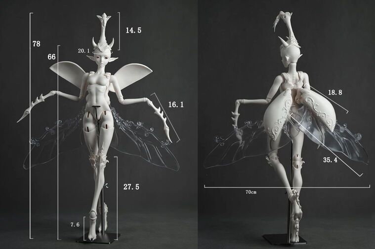 Unicorn Beetle [Limited Time & Quantity] | Preorder | DOLL