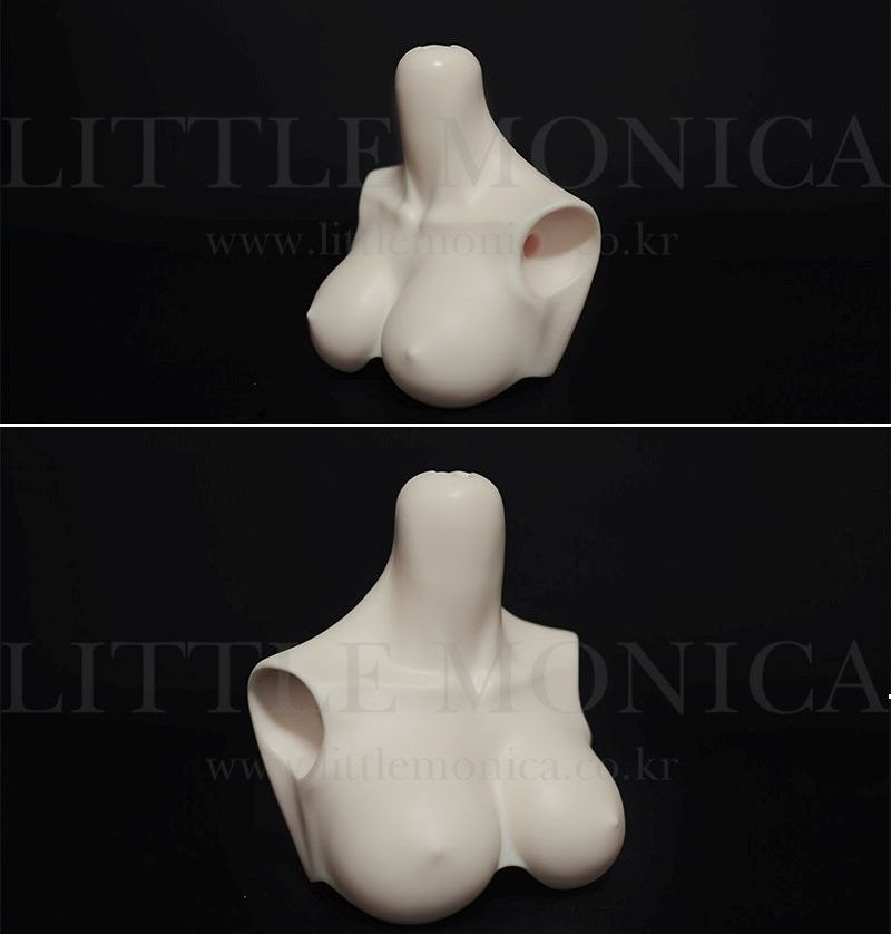 Grace Girl Echo Basic Bust Parts | Preorder | PARTS