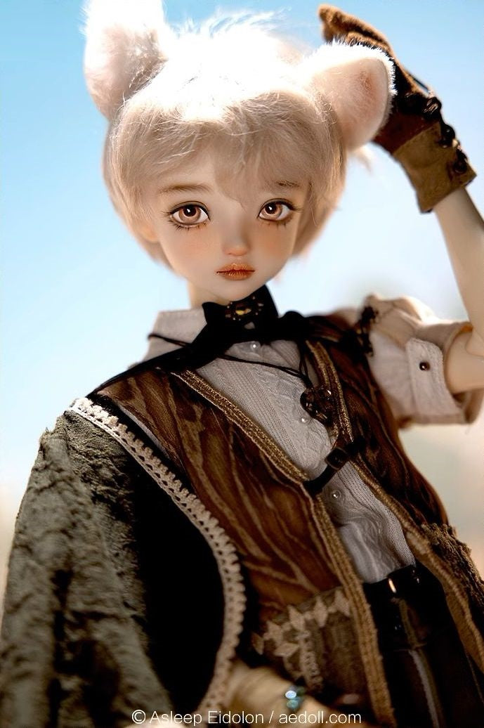 Asleep Eidolon – Dolk BJD