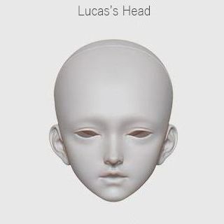 2024 June 1/3 Head [Limited Time] | Preorder | PARTS