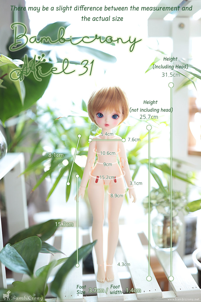 [Miel31] Body | Preorder | DOLL