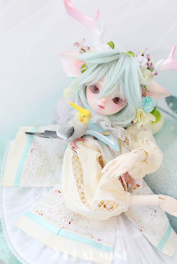 EVE ~ Blooming ~ [Limited Quantity] | Preorder | DOLL