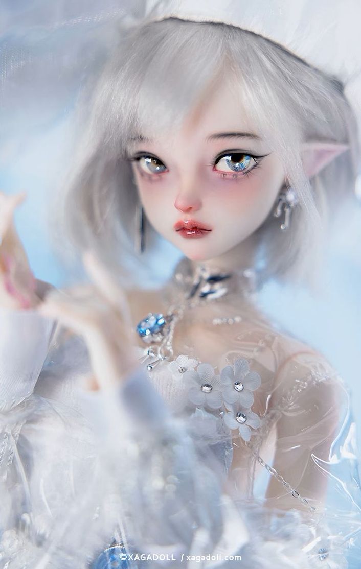 Aqua Fullset [Limited time] | Preorder | DOLL