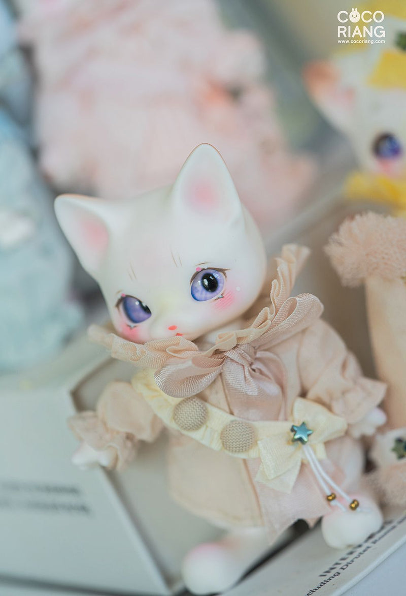 Puri Cream White 2+1 Head [Limited Time] | Preorder | DOLL