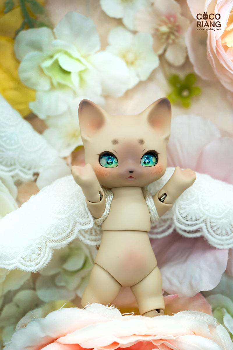 Puri Sand Beige 2+1 Head [Limited Time] | Preorder | DOLL