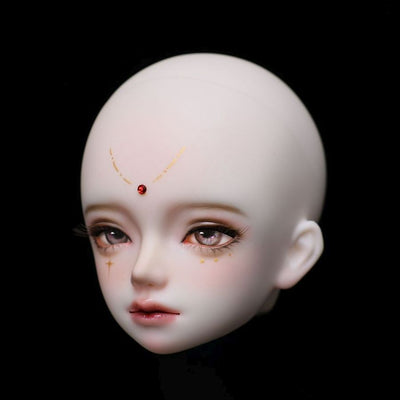 Polax Head [Limited Time 20% OFF] | Preorder | PARTS