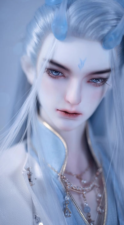 Prince Loong - Ao Qi [Limited Time] | Preorder | DOLL