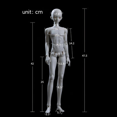 B01 Body (male body) | Preorder | PARTS