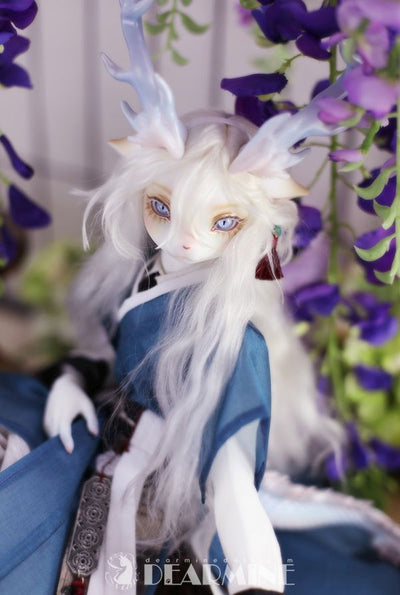 CLOUD -White Dew [Limited Quantity] | Preorder | DOLL