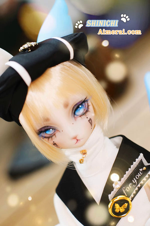 Shinichi - Mao Series | Preorder | DOLL