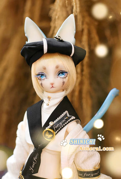 Shinichi - Mao Series Fullset | Preorder | DOLL