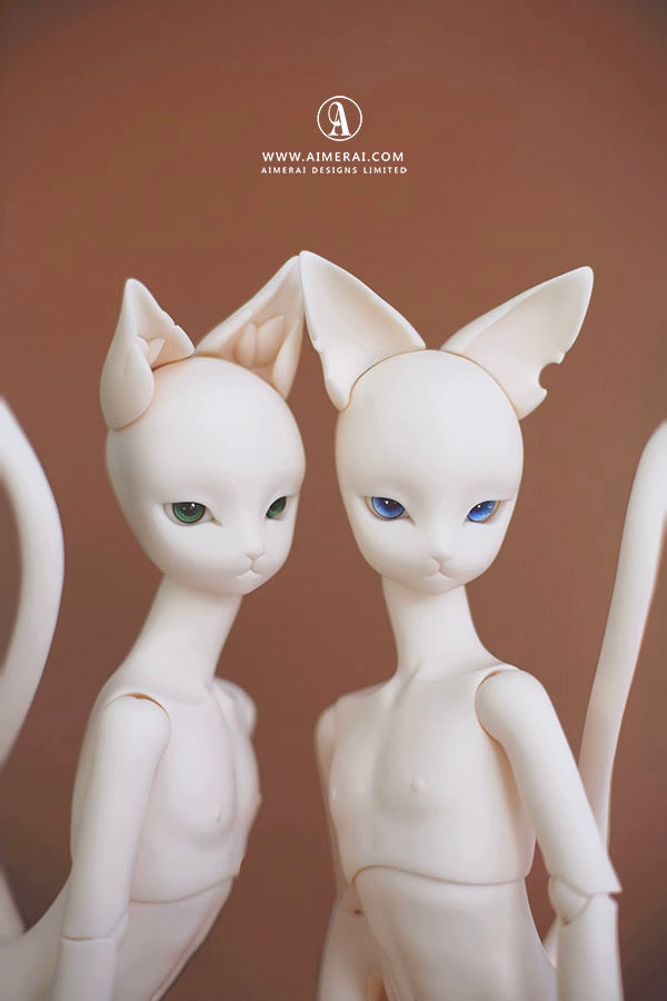 Shinichi - Mao Series | Preorder | DOLL