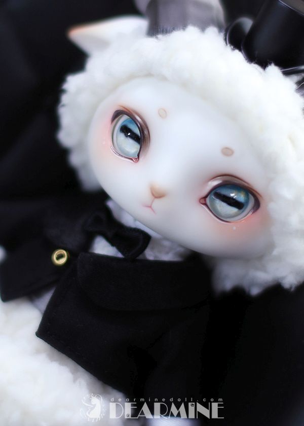 Blanc Noir LORENZ [Limited Quantity] | Preorder | DOLL