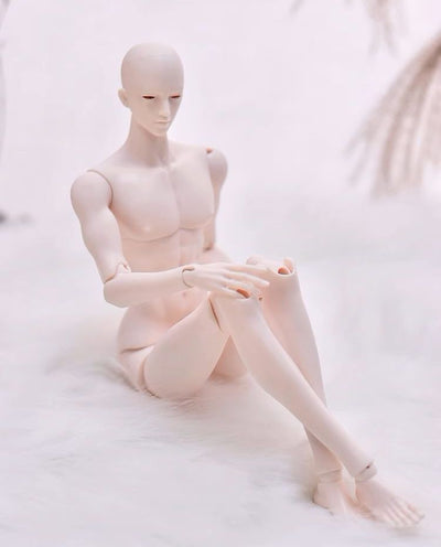 1/6 Boy Doll | PREORDER | DOLL