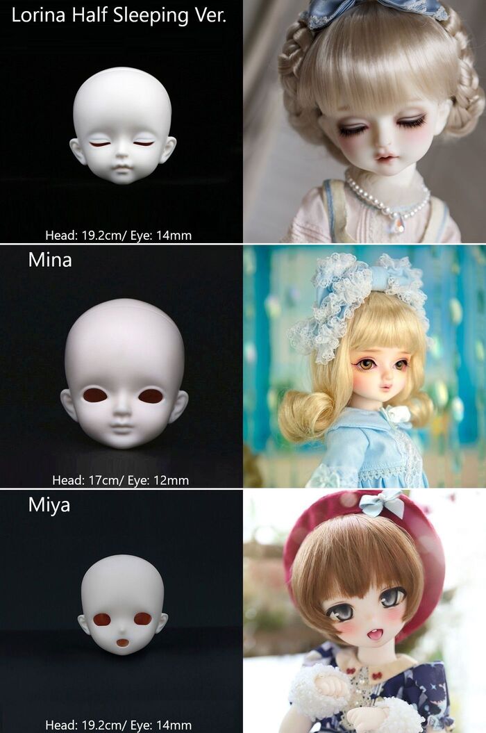 1/6 Head [Limited time event head] |  PREORDER | PARTS