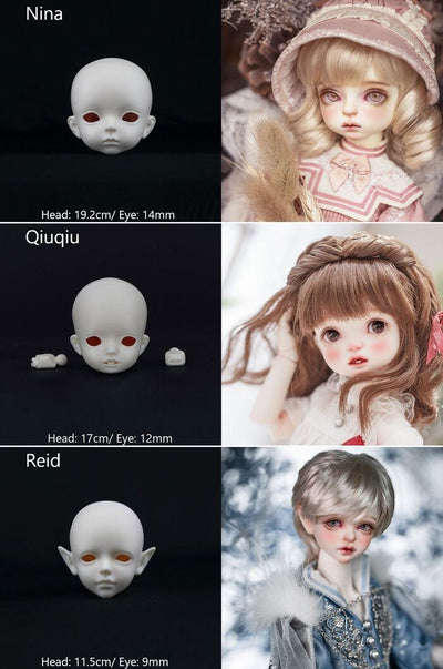 1/6 Head [Limited time event head] |  PREORDER | PARTS