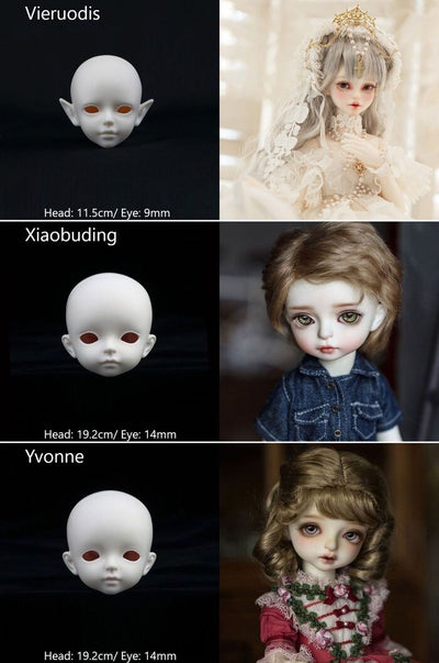 1/6 Head [Limited time event head] |  PREORDER | PARTS