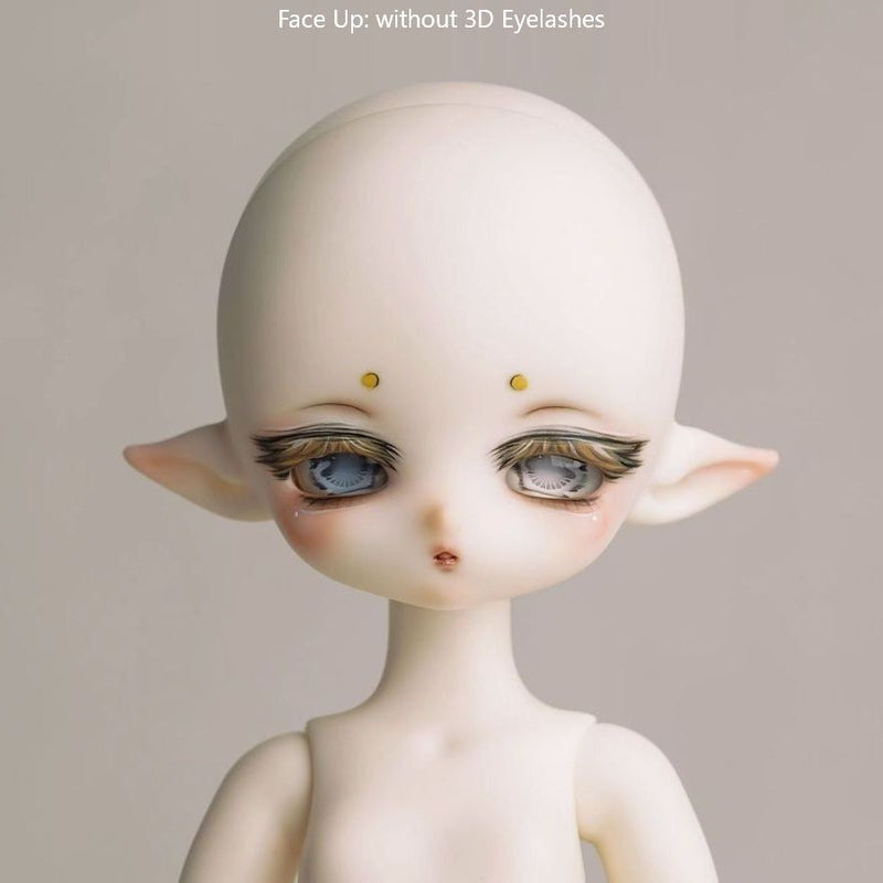 Pure Crocodile [Limited Time] | Preorder | DOLL