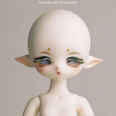 Pure Crocodile [Limited Time] | Preorder | DOLL