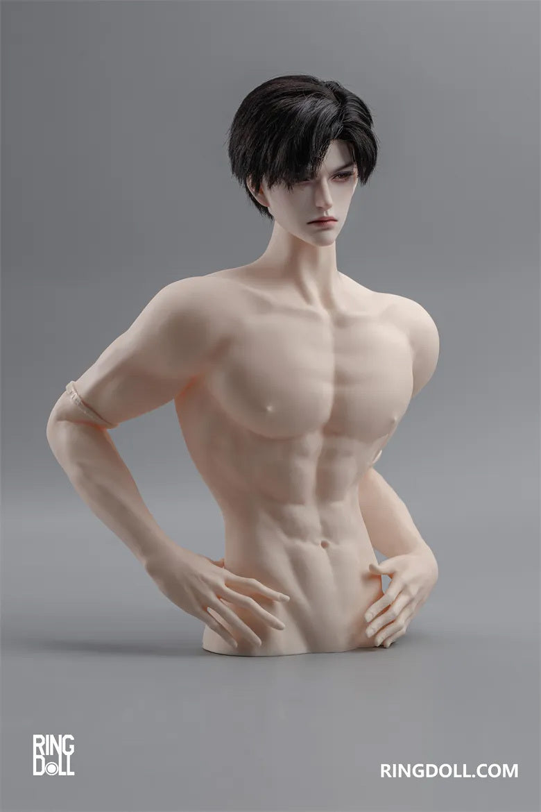 Torso Stand | Preorder | PARTS