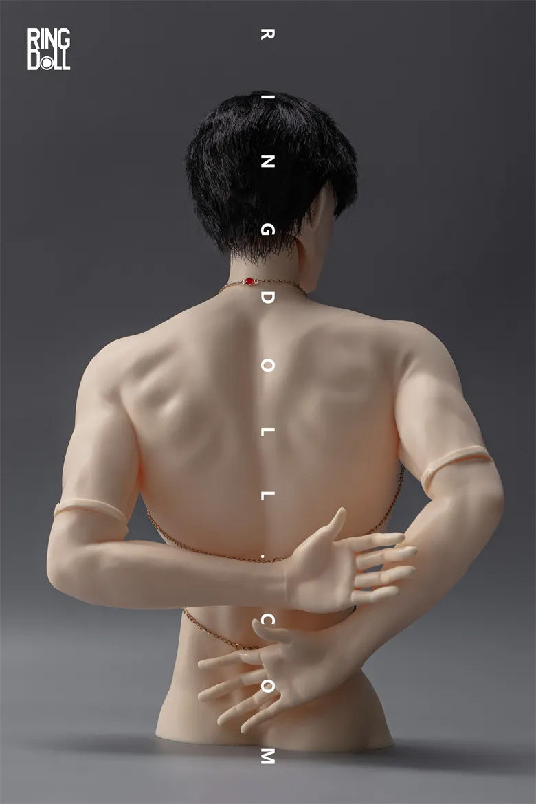 Torso Stand | Preorder | PARTS