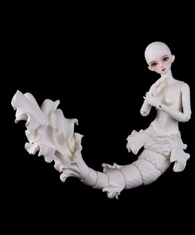 Pisces ilia Face Up + Body Blush [Limited quantity] | PREORDER | DOLL