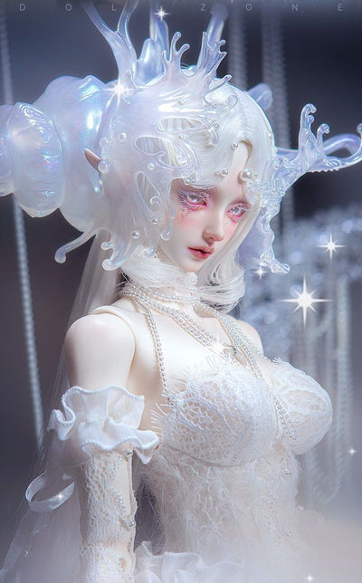 Echo Fullset A [Quantity & limited time 15% OFF] | PREORDER | DOLL