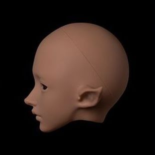 Echo Head | PREORDER | PARTS