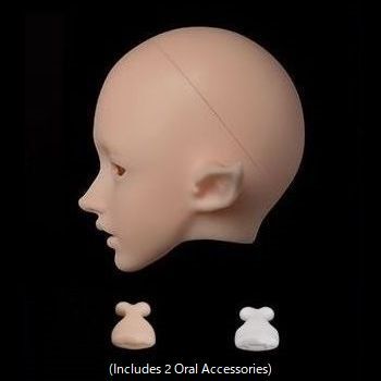 Echo Head [Limited Time 10% OFF] | PREORDER | PARTS