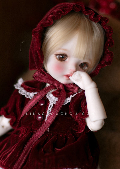 Sachertorte, Salgu [Limited time offer] | PREORDER | DOLL