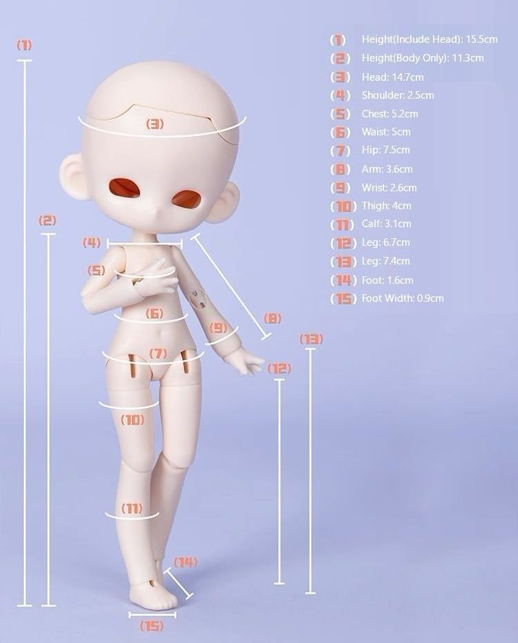 1/12 Cherry Body [Limited time] | PREORDER | PARTS