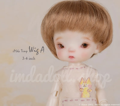 Timp's Wig A [Limited time] | PREORDER | WIG