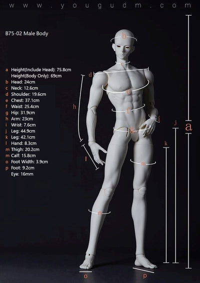 B75-02 Male Body | PREORDER | PARTS