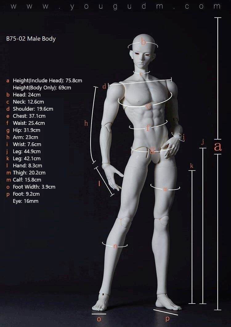 B75-02 Male Body [Limited Time 25% OFF] | PREORDER | PARTS