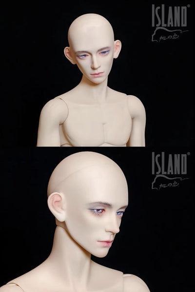 [WIND ISLAND] Woad Head | PREORDER | PARTS