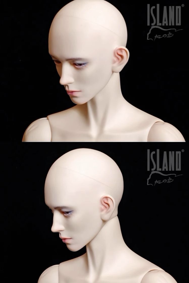 [WIND ISLAND] Woad Head | PREORDER | PARTS