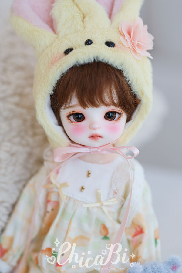 Hachi [Limited Time] | PREORDER | DOLL