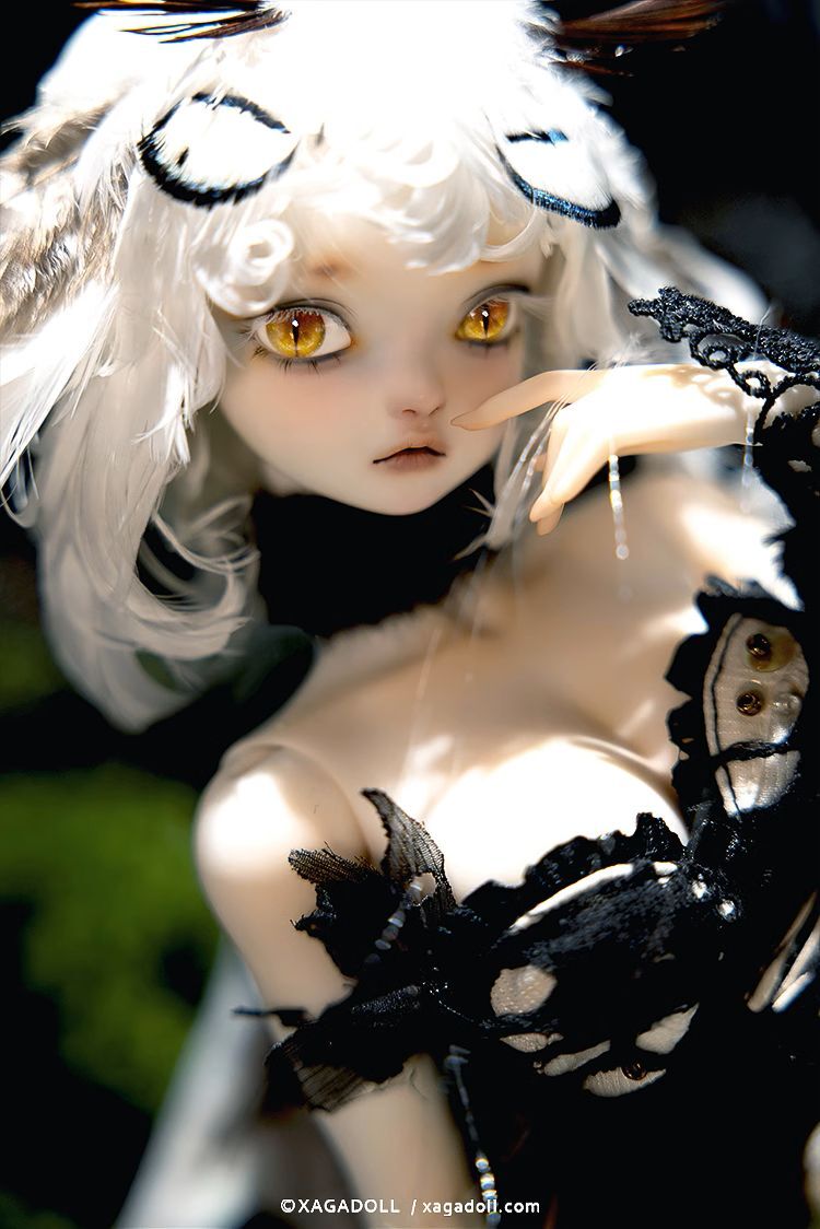 Little Moth-Titk Fullset [Quantity & limited time] | PREORDER | DOLL