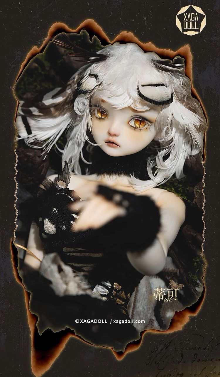 Little Moth-Titk Fullset [Quantity & limited time] | PREORDER | DOLL