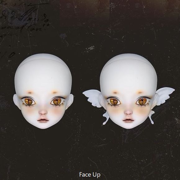 Little Moth-Titk Fullset [Quantity & limited time] | PREORDER | DOLL