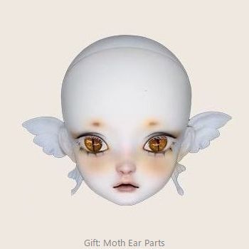 Little Moth-Titk Fullset [Quantity & limited time] | PREORDER | DOLL