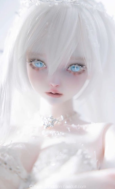 Neve Fullset [Limited quantity & time] | PREORDER | DOLL