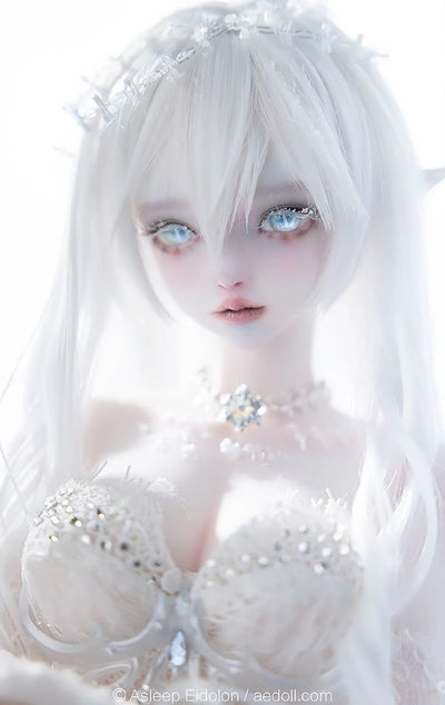 Neve Fullset [Limited quantity & time] | PREORDER | DOLL